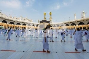 (Photos) Agriculture: Des outils et des semences de qualité pour un meilleur rendement